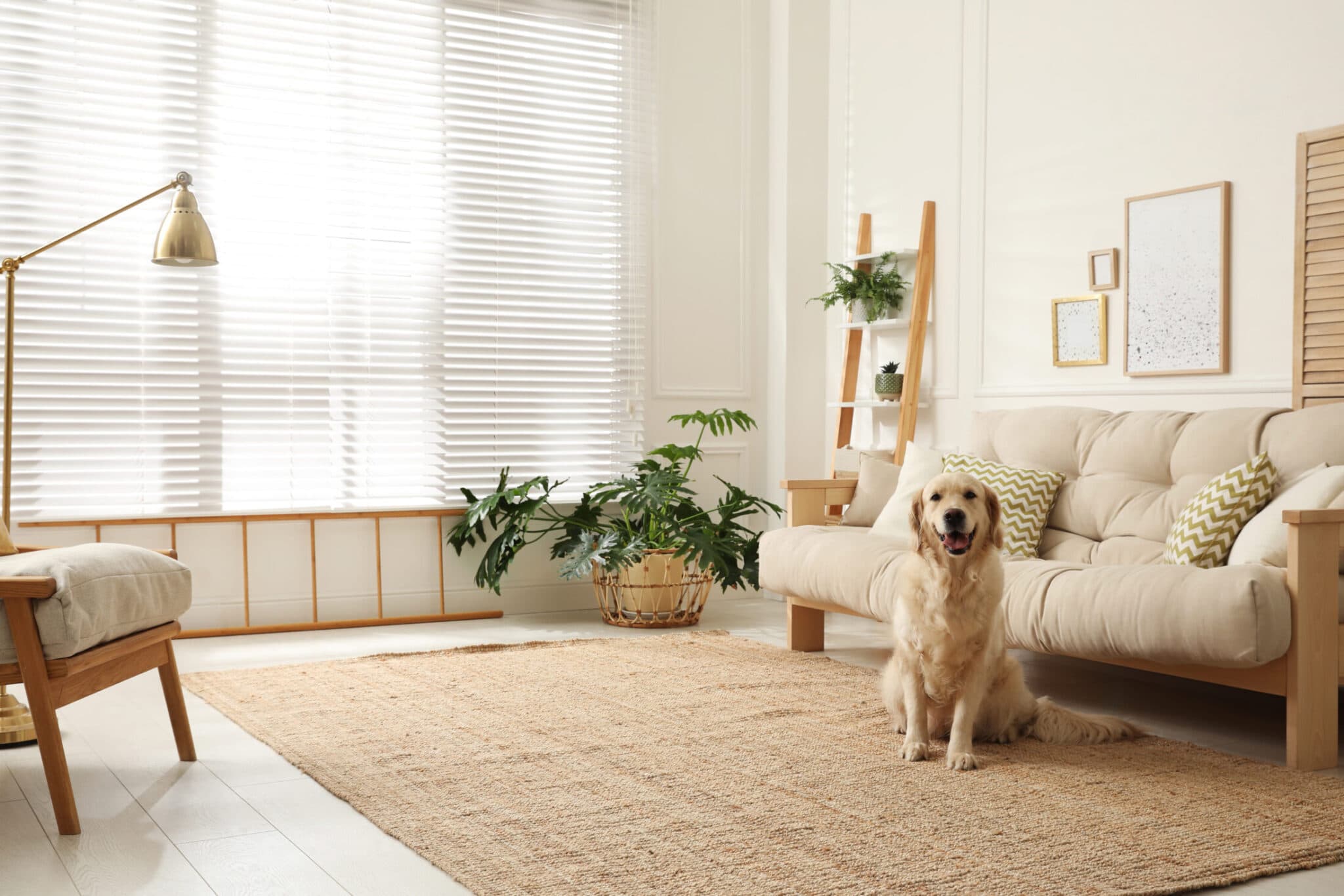 A dog drinking from an elevated bowl